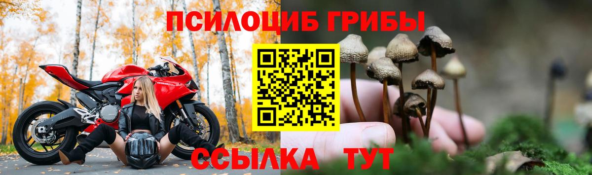 Магнитогорск  Псилоцибиновые грибы Psilocybine cubensis  Вход с VPN 