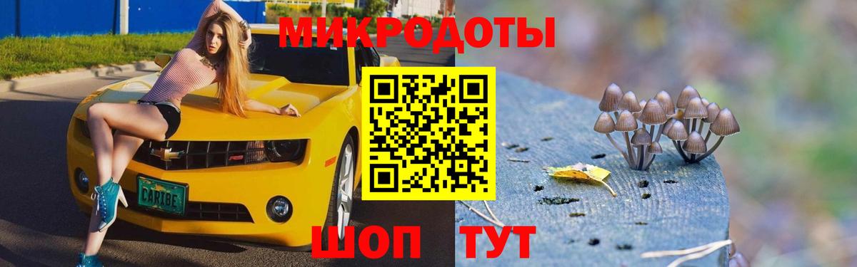 Галлюциногенные грибы Psilocybine cubensis Магнитогорск